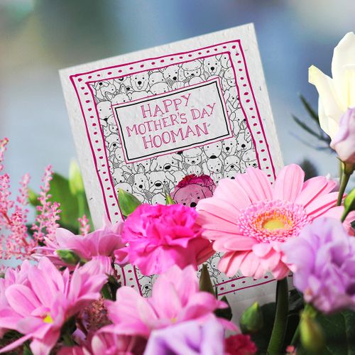 Plantable Mother's Day and Father's Day Cards